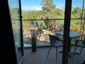 Luxurious apartment near the sea in Pobierowo
